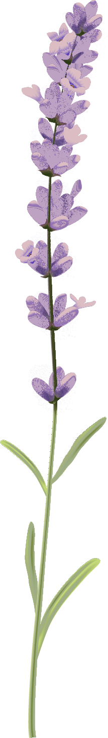 flower image