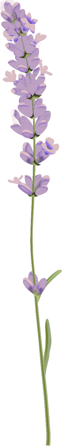 flower image